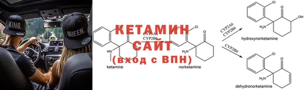 ПСИЛОЦИБИНОВЫЕ ГРИБЫ Белокуриха